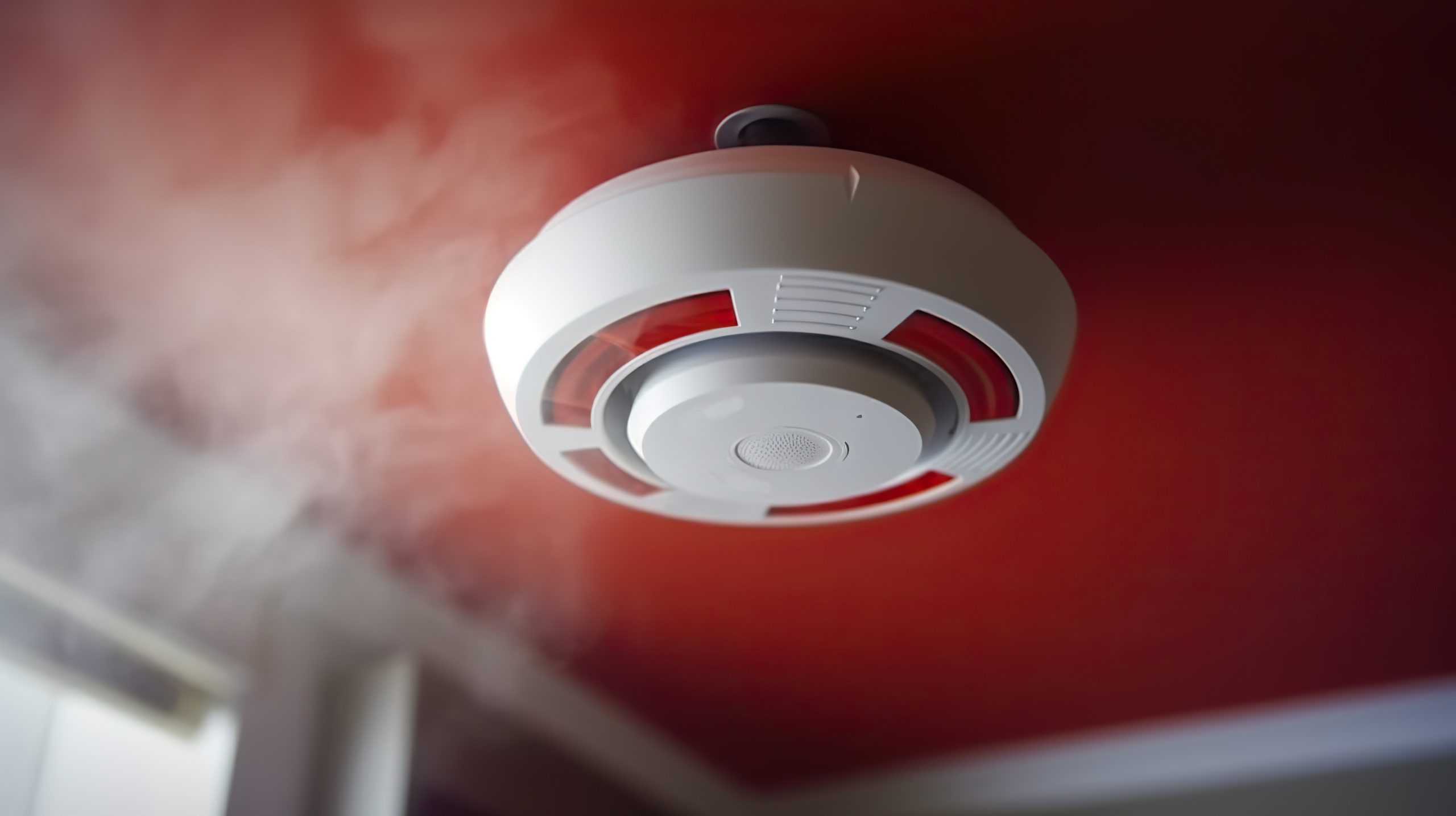 Serviços Especializados